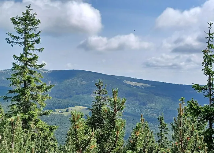 Hill 55 By Interhome Dom wakacyjny